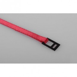 Red Tie Down Strap with...